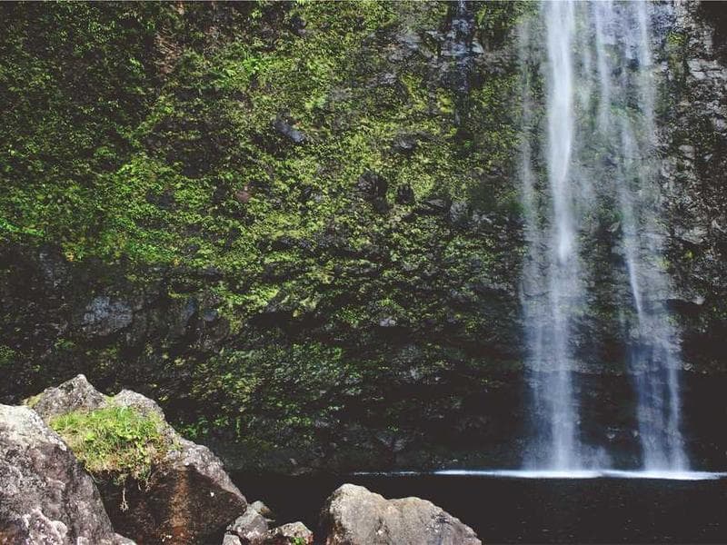 حملة إعلانية على وسائل التواصل